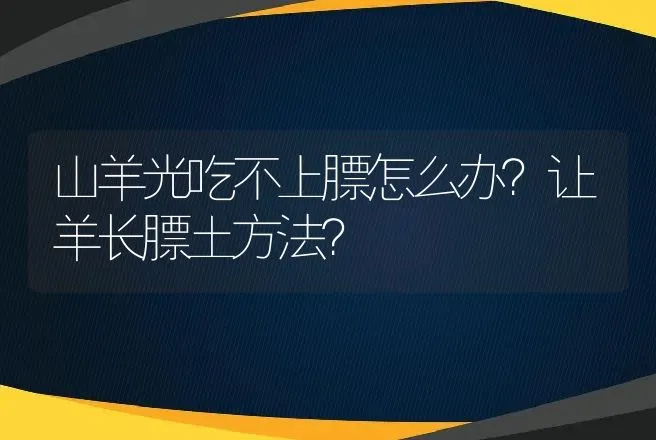 山羊光吃不上膘怎么办？让羊长膘土方法？ | 家畜养殖