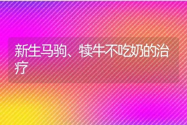 新生马驹、犊牛不吃奶的治疗 | 动物养殖