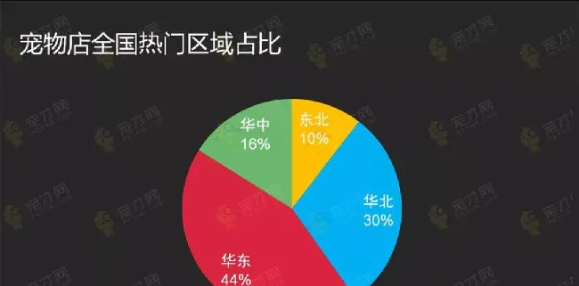 宠物行业紧缺人才需求分析报告 | 宠物行业洞察