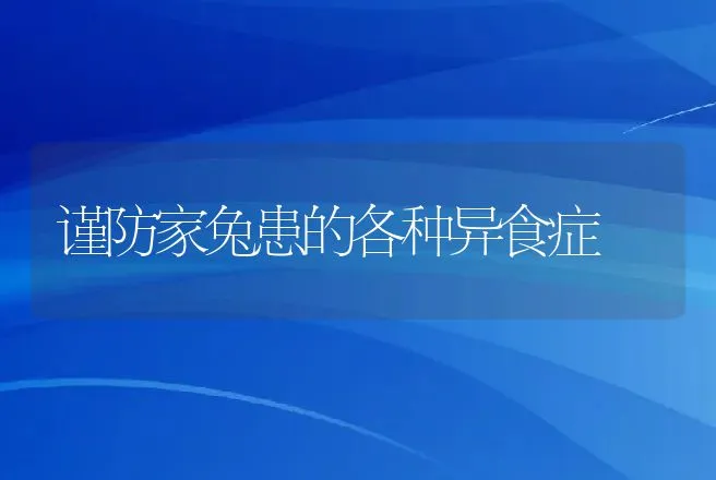 谨防家兔患的各种异食症 | 动物养殖