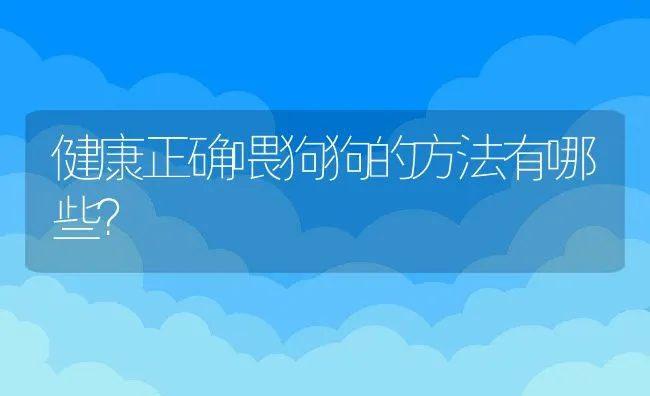 健康正确喂狗狗的方法有哪些？ | 宠物猫