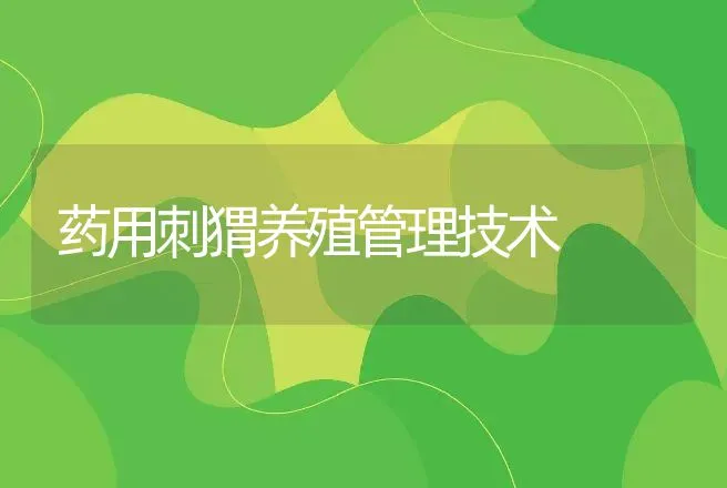 药用刺猬养殖管理技术 | 动物养殖