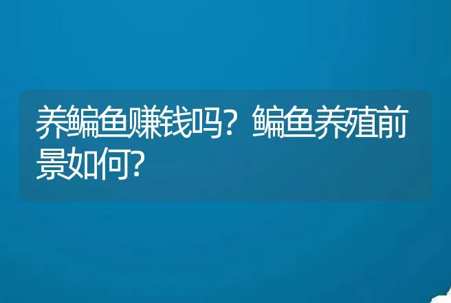 养鳊鱼赚钱吗？鳊鱼养殖前景如何？ | 养殖致富