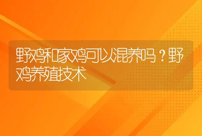 野鸡和家鸡可以混养吗？野鸡养殖技术 | 家禽养殖