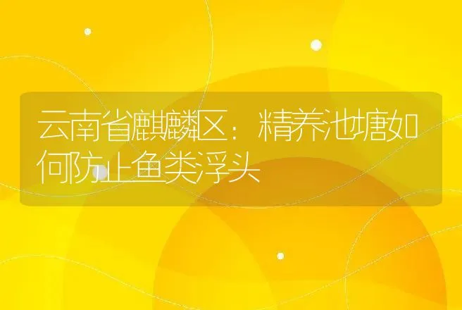 云南省麒麟区：精养池塘如何防止鱼类浮头 | 动物养殖