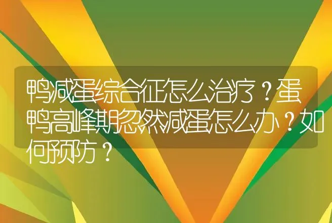 鸭减蛋综合征怎么治疗？蛋鸭高峰期忽然减蛋怎么办？如何预防？ | 兽医知识大全