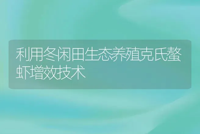 利用冬闲田生态养殖克氏螯虾增效技术 | 动物养殖