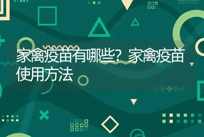 家禽疫苗有哪些？家禽疫苗使用方法 | 兽医知识大全