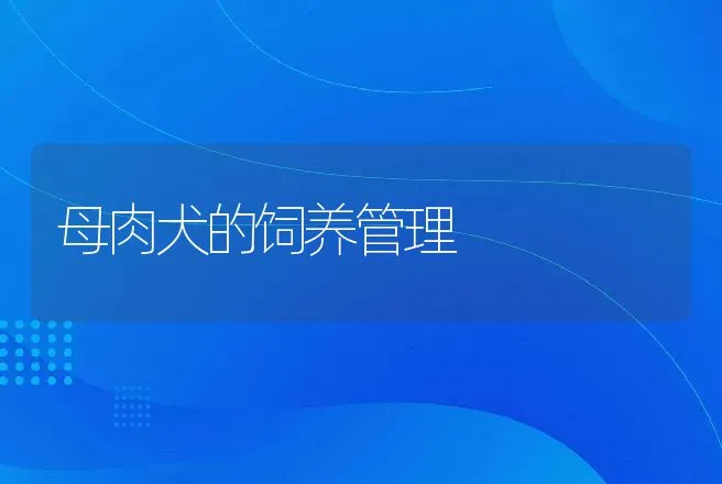 母肉犬的饲养管理 | 动物养殖