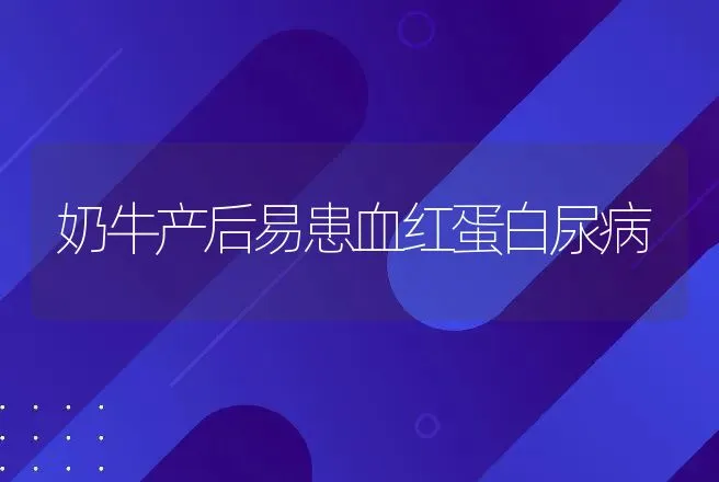 奶牛产后易患血红蛋白尿病 | 动物养殖