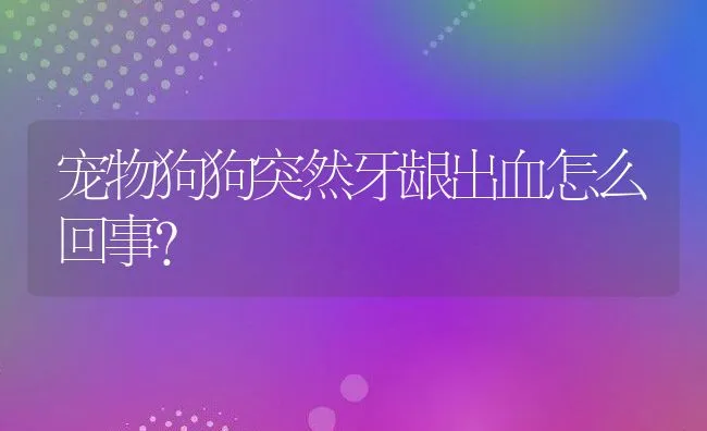 宠物狗狗突然牙龈出血怎么回事？ | 宠物病虫害