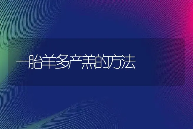 一胎羊多产羔的方法 | 动物养殖