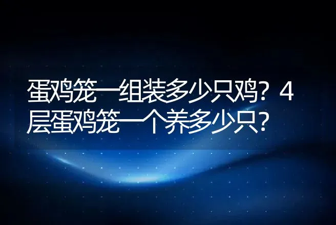 蛋鸡笼一组装多少只鸡？4层蛋鸡笼一个养多少只？ | 动物养殖