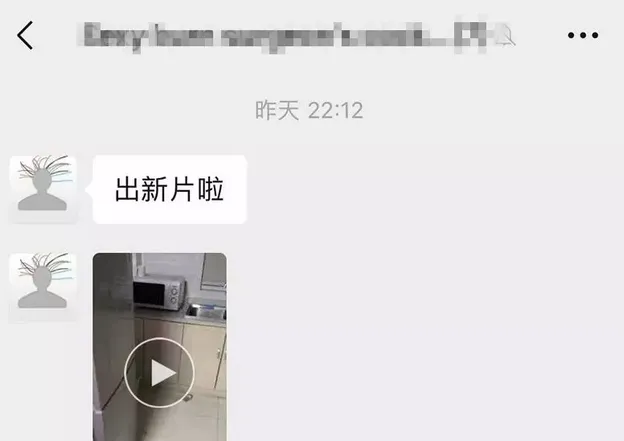 实习医生用开水烫狗，并发网络炫耀 | 宠物新闻资讯