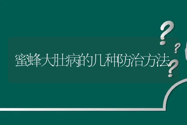 蜜蜂大肚病的几种防治方法 | 动物养殖