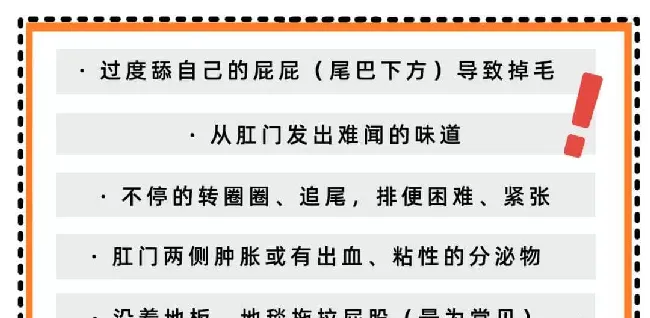 比屎臭N倍的肛门腺，到底该不该挤？ | 宠物狗病虫害防治