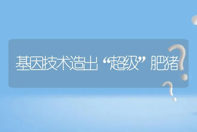 基因技术造出“超级”肥猪 | 动物养殖