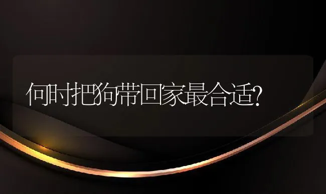 何时把狗带回家最合适？ | 宠物病虫害