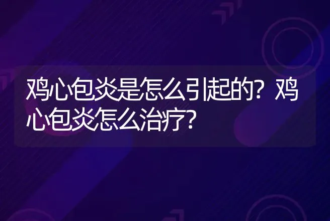 鸡心包炎是怎么引起的？鸡心包炎怎么治疗？ | 兽医知识大全