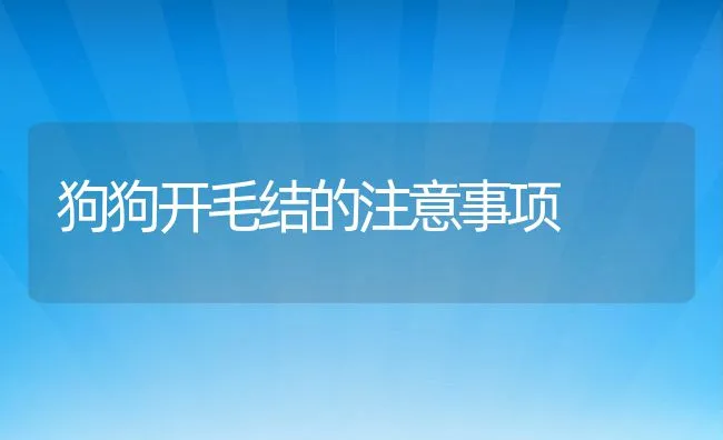 狗狗开毛结的注意事项 | 宠物猫