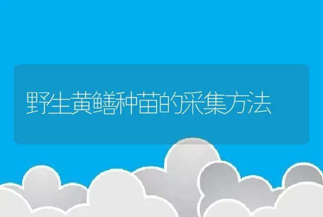 野生黄鳝种苗的采集方法 | 动物养殖