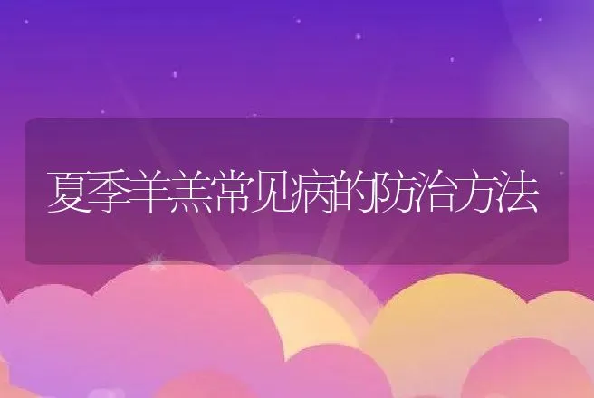 夏季羊羔常见病的防治方法 | 动物养殖