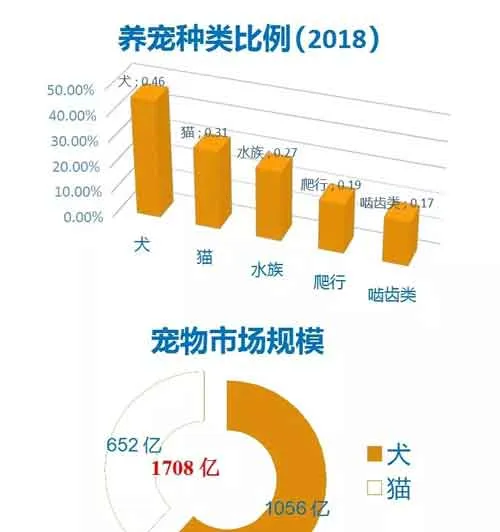 我国宠物药品现状及现有宠物药品目录 | 宠物行业洞察