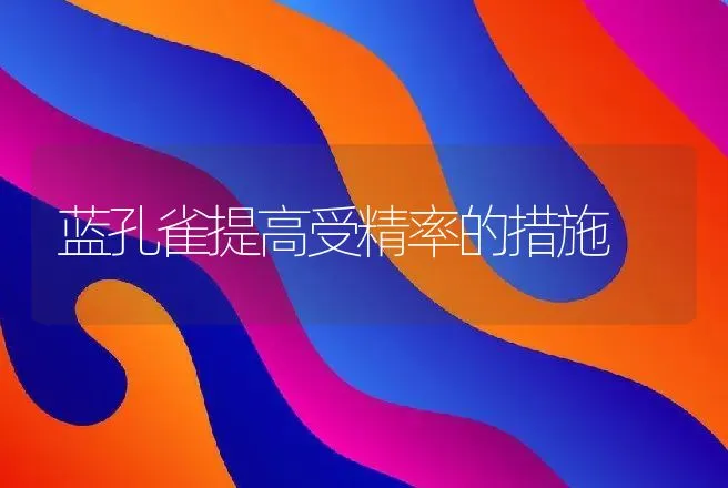 蓝孔雀提高受精率的措施 | 动物养殖