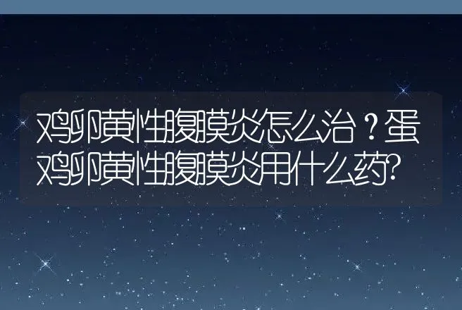 鸡卵黄性腹膜炎怎么治？蛋鸡卵黄性腹膜炎用什么药? | 兽医知识大全