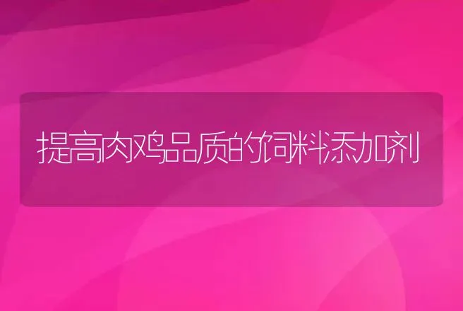 提高肉鸡品质的饲料添加剂 | 动物养殖