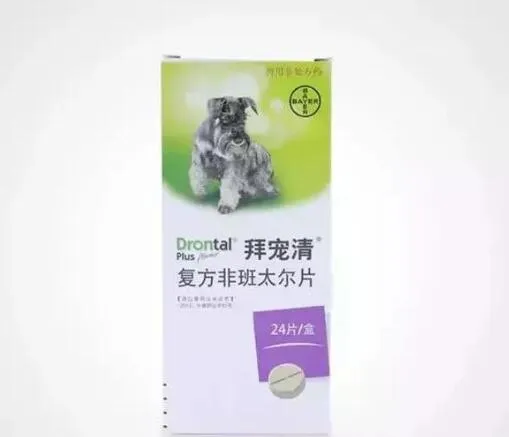 宠物驱虫应如何选择正确的驱虫产品 | 宠物新闻资讯