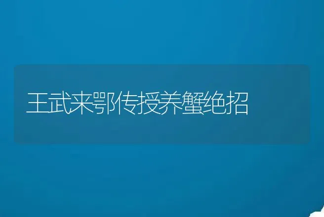 王武来鄂传授养蟹绝招 | 动物养殖