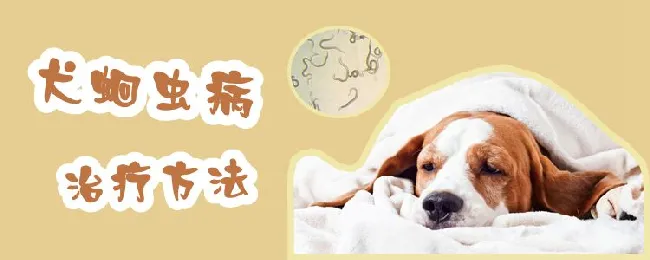 犬蛔虫病治疗方法 | 宠物病虫害防治