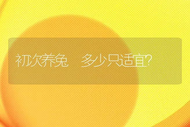 初次养兔 多少只适宜？ | 动物养殖