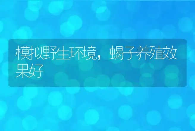 模拟野生环境，蝎子养殖效果好 | 特种养殖