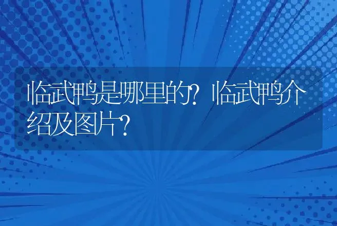 临武鸭是哪里的？临武鸭介绍及图片？ | 动物养殖