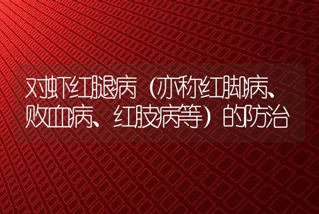 对虾红腿病（亦称红脚病、败血病、红肢病等）的防治 | 动物养殖