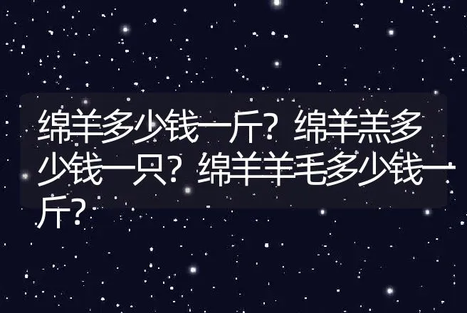 绵羊多少钱一斤？绵羊羔多少钱一只？绵羊羊毛多少钱一斤？ | 养殖致富