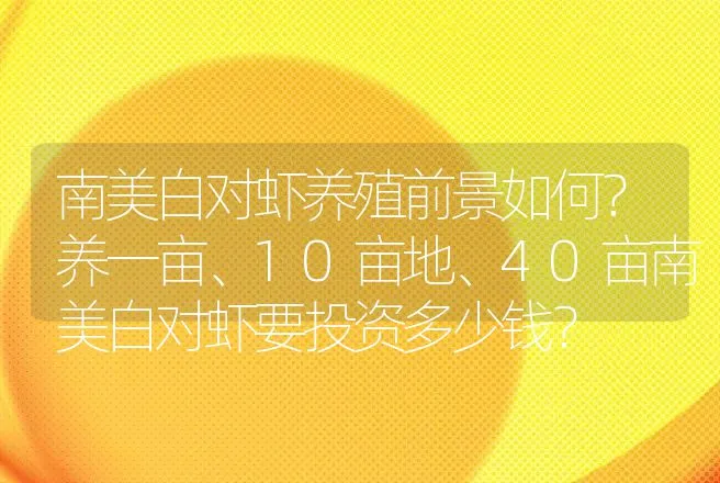 南美白对虾养殖前景如何？养一亩、10亩地、40亩南美白对虾要投资多少钱？ | 养殖致富