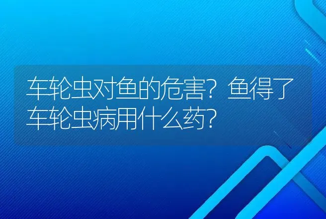 车轮虫对鱼的危害？鱼得了车轮虫病用什么药？ | 兽医知识大全