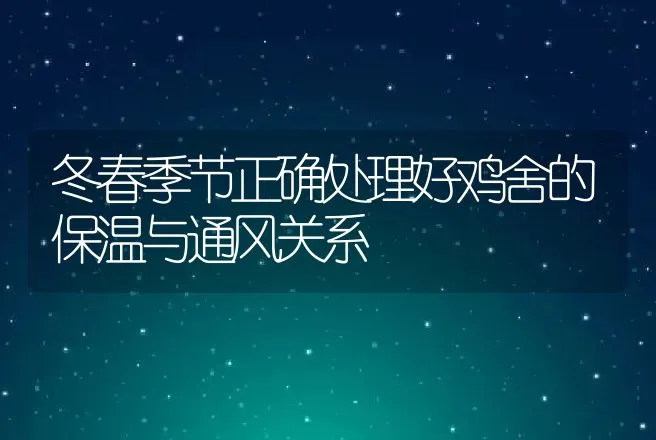 冬春季节正确处理好鸡舍的保温与通风关系 | 动物养殖