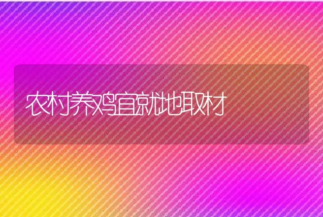 蛋用雏鸭及时分群 | 动物养殖