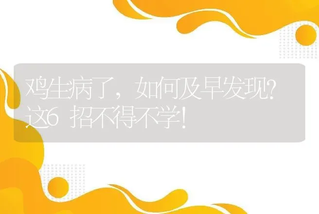 鸡生病了，如何及早发现？这6招不得不学！ | 兽医知识大全