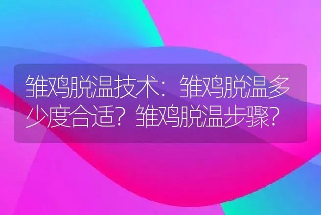 雏鸡脱温技术：雏鸡脱温多少度合适？雏鸡脱温步骤？ | 家禽养殖