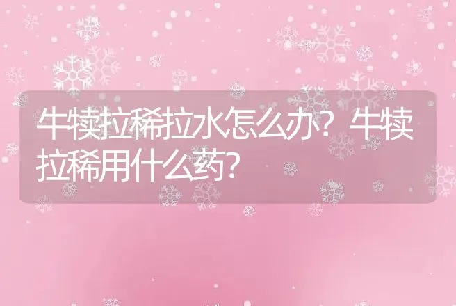 牛犊拉稀拉水怎么办？牛犊拉稀用什么药？ | 兽医知识大全