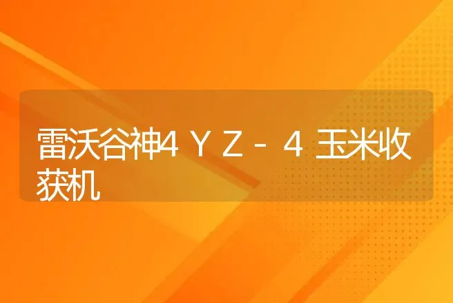 雷沃谷神4YZ-4玉米收获机 | 养殖