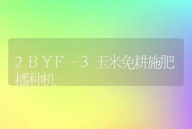 2BYF-3玉米免耕施肥播种机 | 养殖