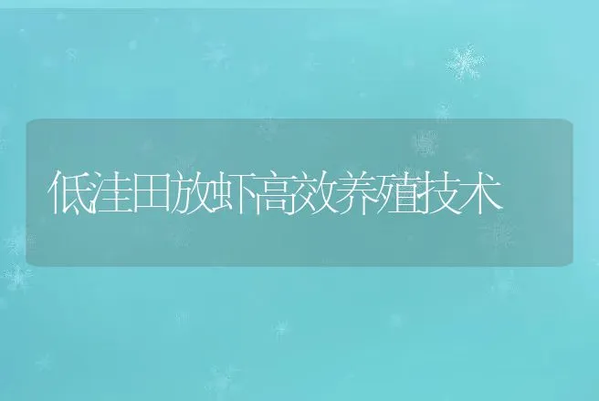 低洼田放虾高效养殖技术 | 动物养殖