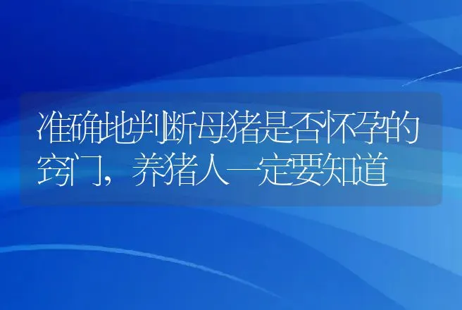 准确地判断母猪是否怀孕的窍门，养猪人一定要知道 | 家畜养殖