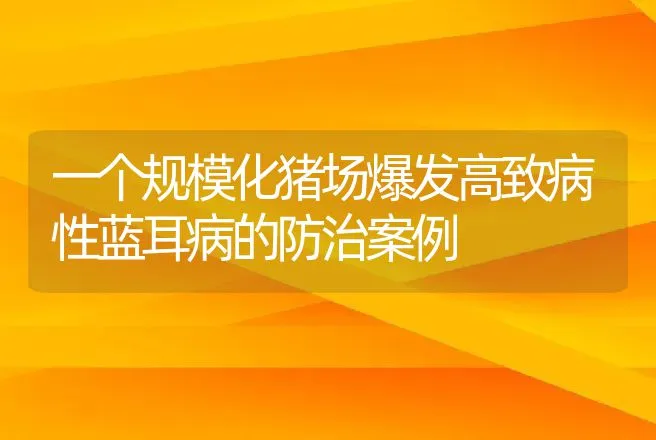 一个规模化猪场爆发高致病性蓝耳病的防治案例 | 动物养殖